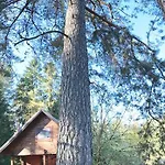 Rojaus Slenis Tatil Evi
