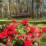 Rojaus Slenis *