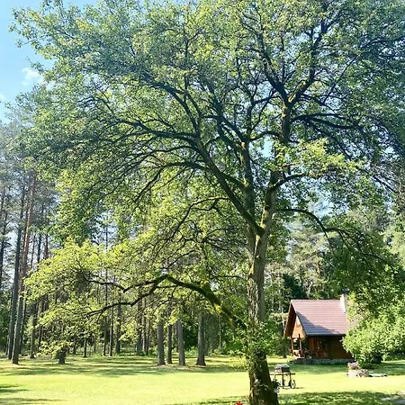 Rojaus Slenis Ferienhaus Druskininkai