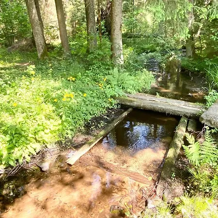 Rojaus Slenis Holiday home *