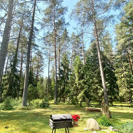Rojaus Slenis Дом отдыха Друскининкай