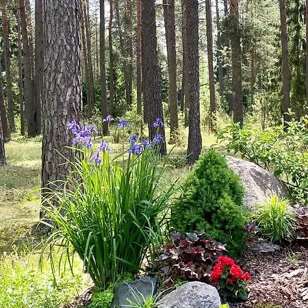 Holiday home Rojaus Slenis Druskininkai