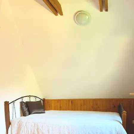 Rojaus Slenis * Druskininkai