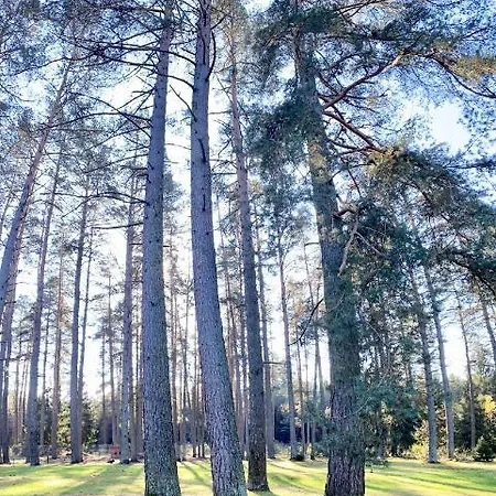 Дом отдыха Rojaus Slenis