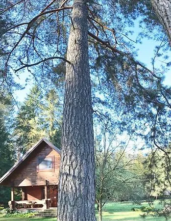 Rojaus Slenis Poilsio namai