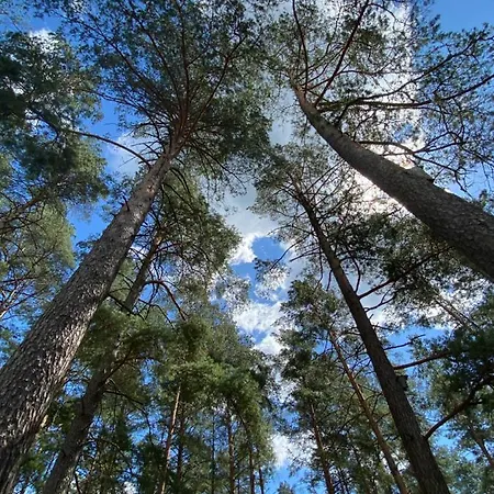 Holiday home Rojaus Slenis