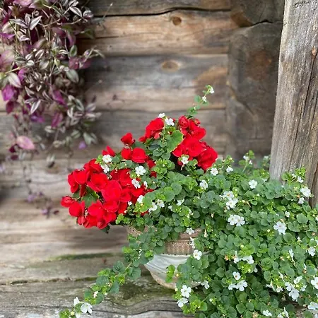 Rojaus Slenis Druskininkai