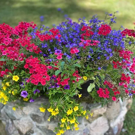 Holiday home Rojaus Slenis *