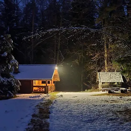 Holiday home Rojaus Slenis