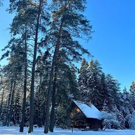 Holiday home Rojaus Slenis Druskininkai