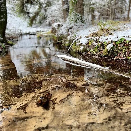 Rojaus Slenis Holiday home Druskininkai