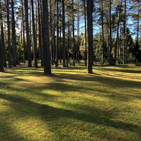 Rojaus Slenis Druskininkai