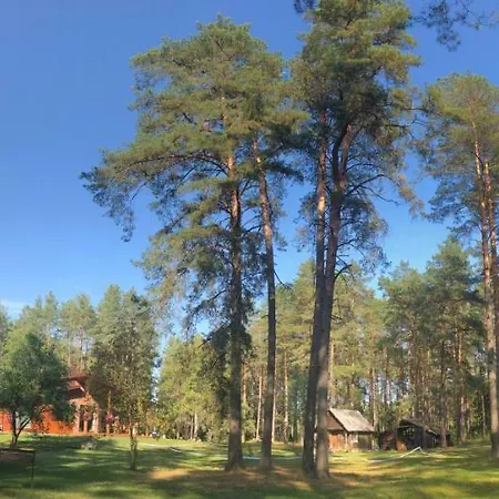 Rojaus Slenis Друскининкай