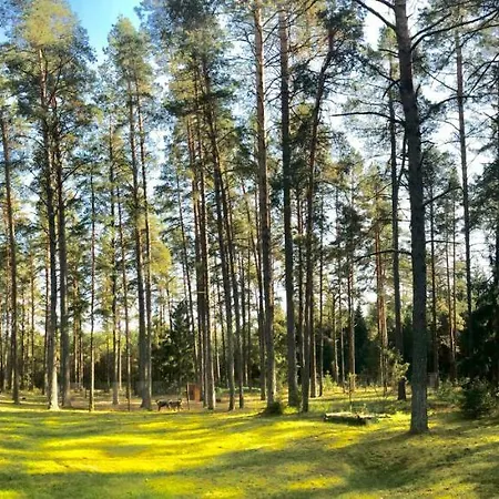 Дом отдыха Rojaus Slenis *