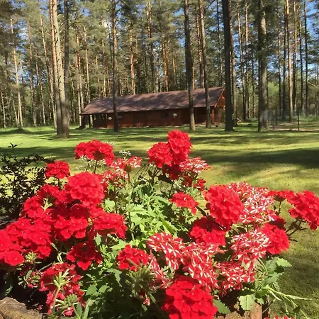 Rojaus Slenis *
