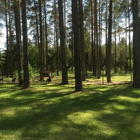 Дом отдыха Rojaus Slenis *