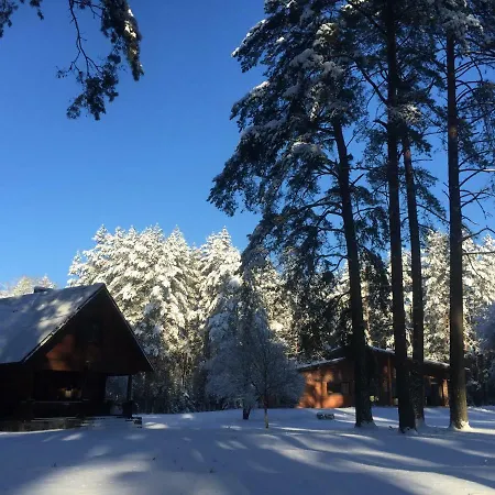 Holiday home Rojaus Slenis Druskininkai