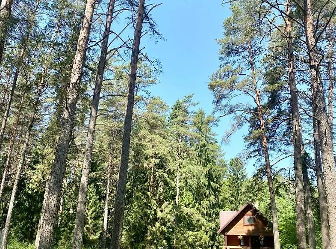 Holiday home Rojaus Slenis *