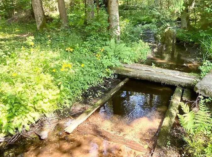 Rojaus Slenis Holiday home *