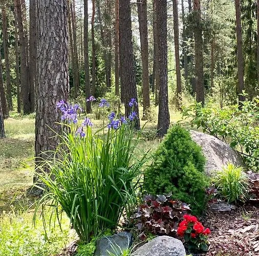 Holiday home Rojaus Slenis Druskininkai