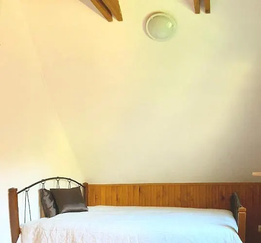 Rojaus Slenis * Druskininkai