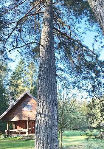 Rojaus Slenis Holiday home