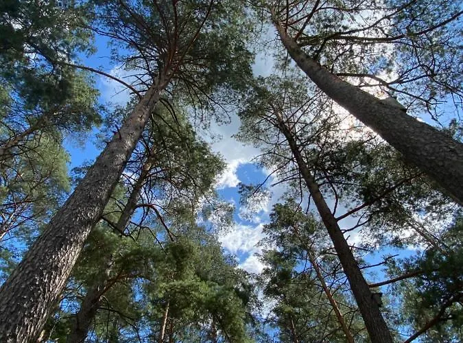 Holiday home Rojaus Slenis