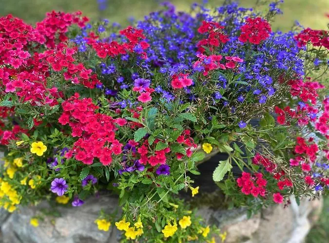 Holiday home Rojaus Slenis *