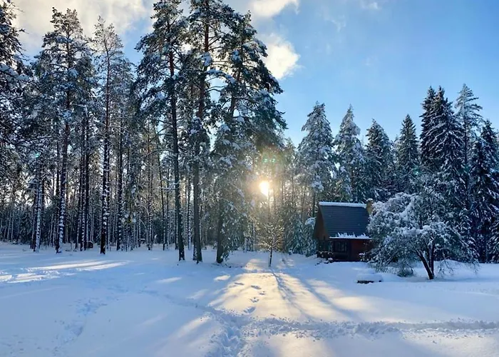 Rojaus Slenis * Druskininkai