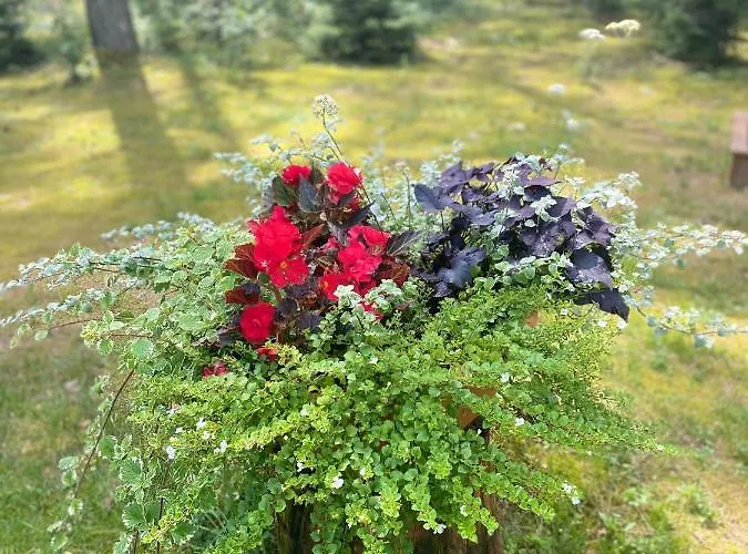 Rojaus Slenis Holiday home Druskininkai