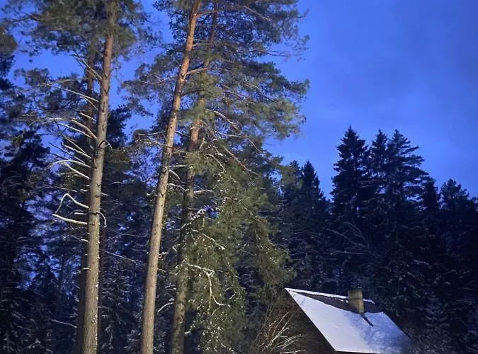 Rojaus Slenis Holiday home