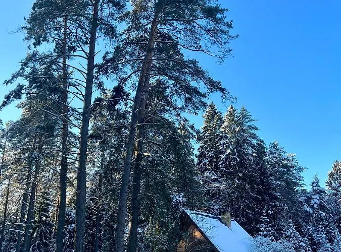 Holiday home Rojaus Slenis Druskininkai