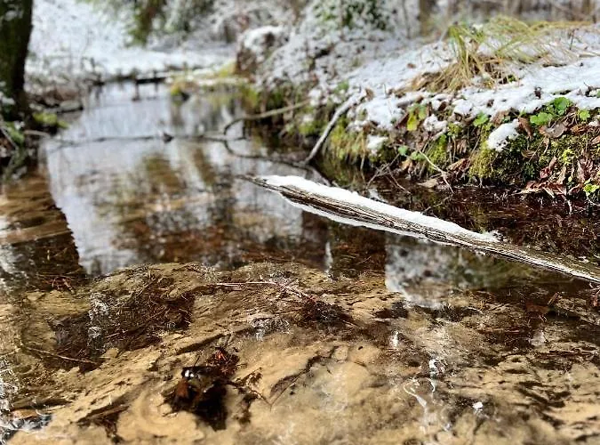 Rojaus Slenis Holiday home Druskininkai