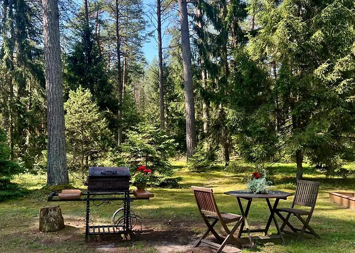 Rojaus Slenis * Druskininkai