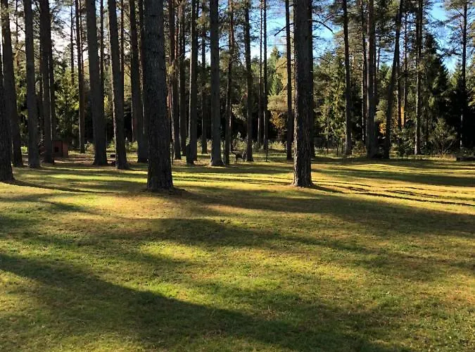 Rojaus Slenis Druskininkai