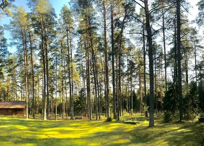 Holiday home Rojaus Slenis *