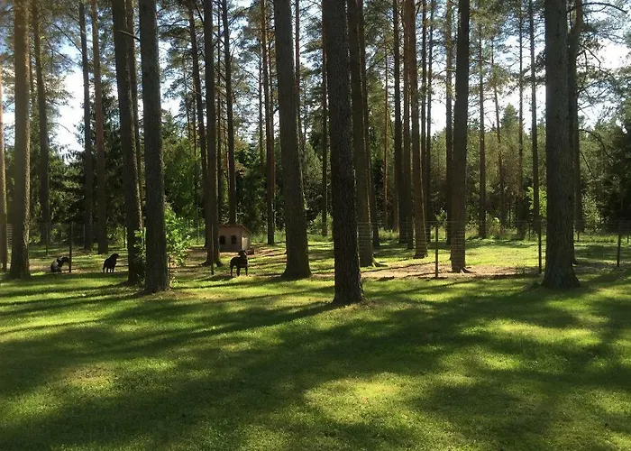 Holiday home Rojaus Slenis *