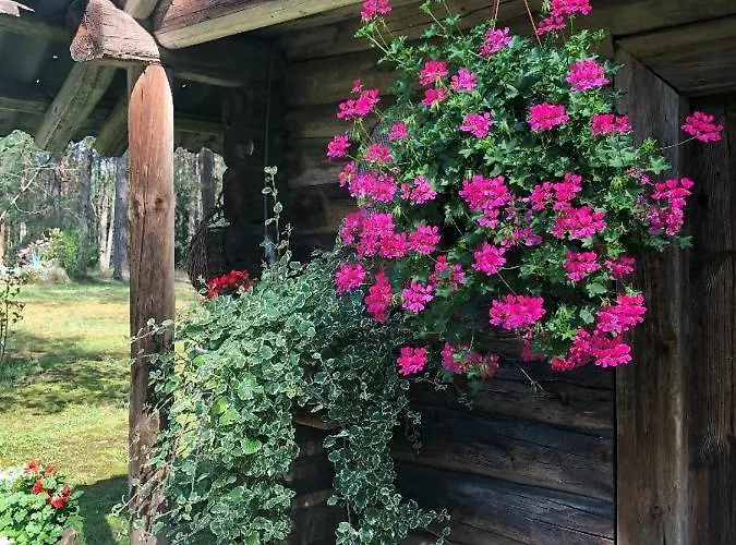 Rojaus Slenis Druskininkai