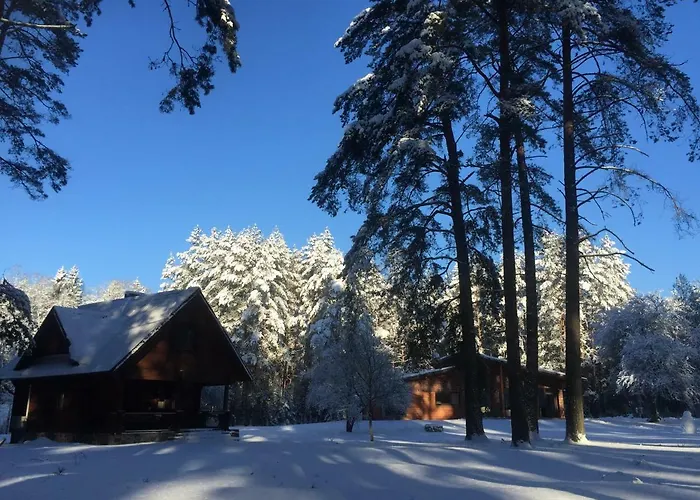 Holiday home Rojaus Slenis Druskininkai